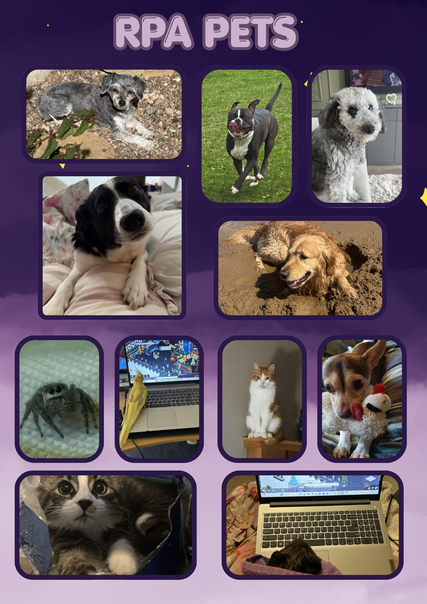 June 2026 RPA newsletter page 12